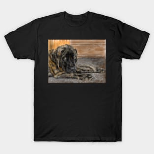 English Mastiff Puppy T-Shirt